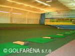 Golfarena_driving